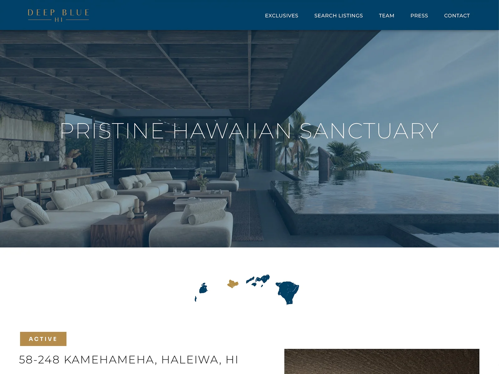 Deep Blue HI website on iPad